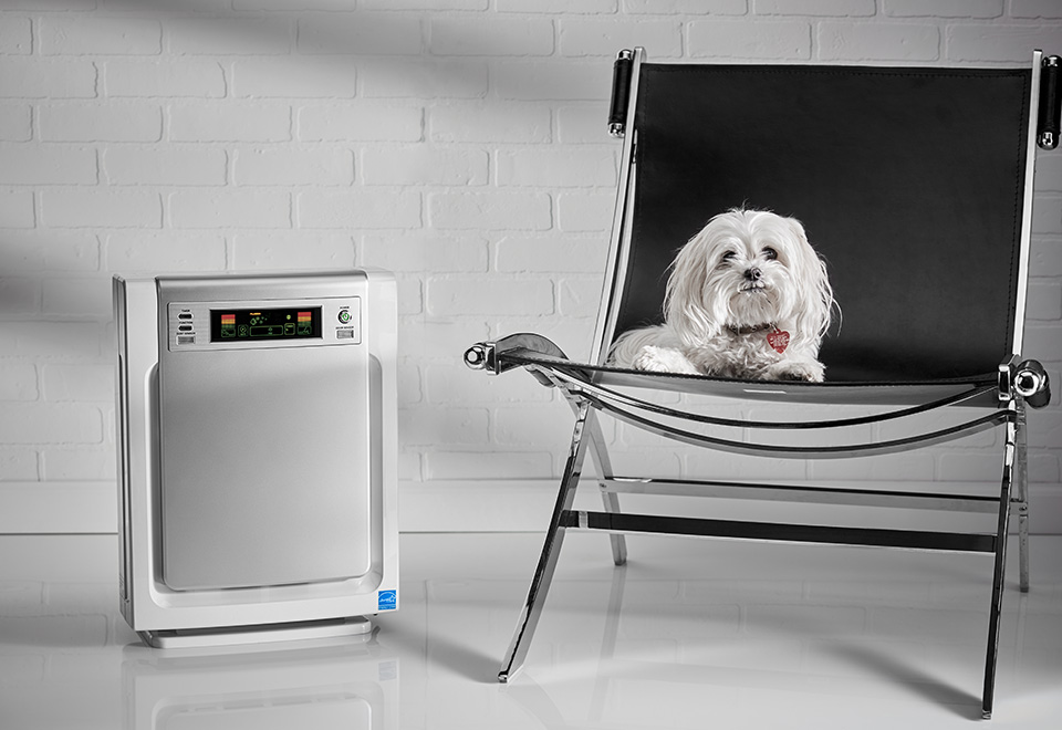 Pet Air Cleaner Sharper Image