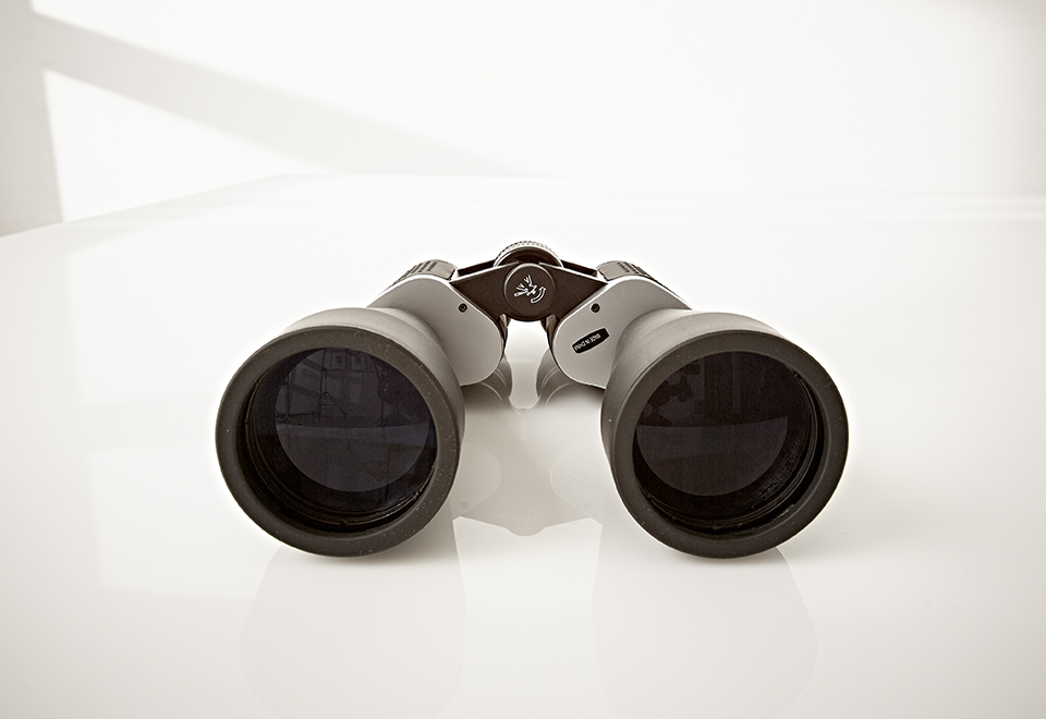 100X Ultrazoom Binoculars Sharper Image