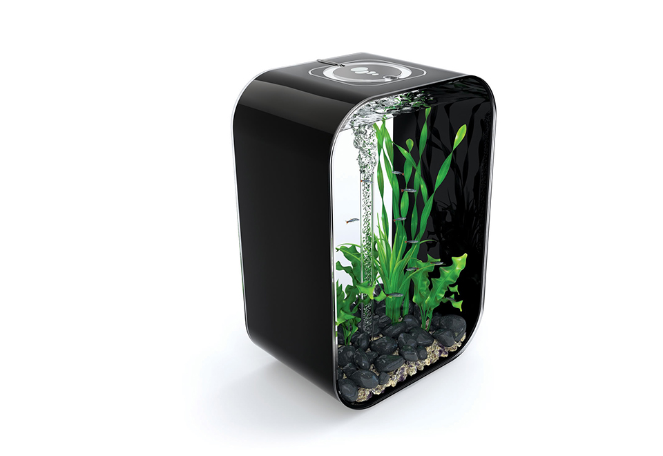 Allinone 12 Gallon Tower Aquarium Camilia