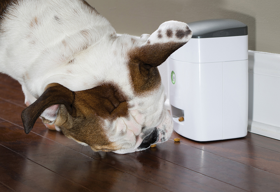 Remote Dog Treat Dispenser Sharper Image