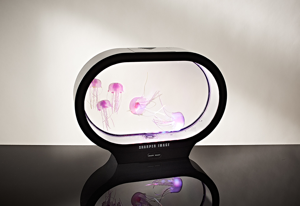 Fantasy Jellyfish Aquarium Sharper Image