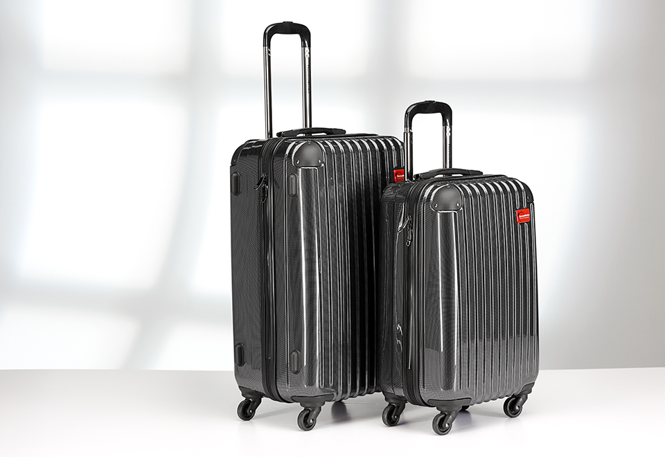 Bed Bug Killing Luggage Sharper Image