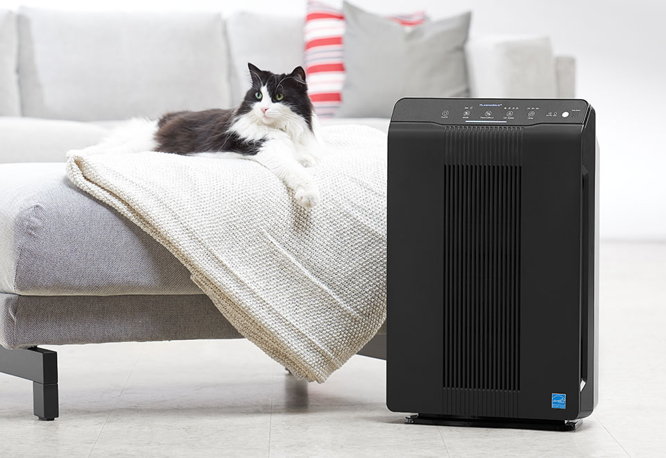 Pet Air Cleaner with PlasmaWave Technology Sharper Image