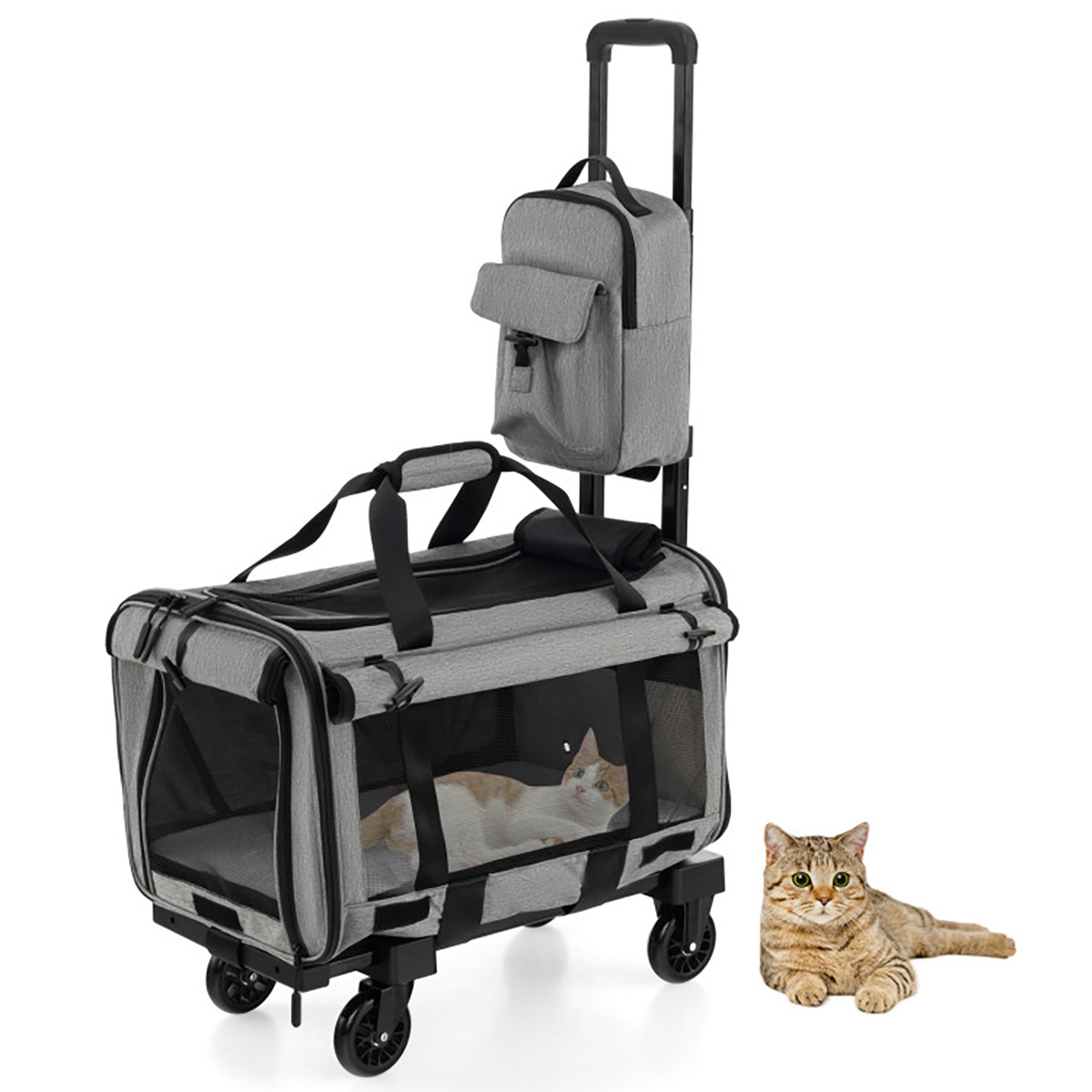 Soft-Sided Rolling Pet Carrier
